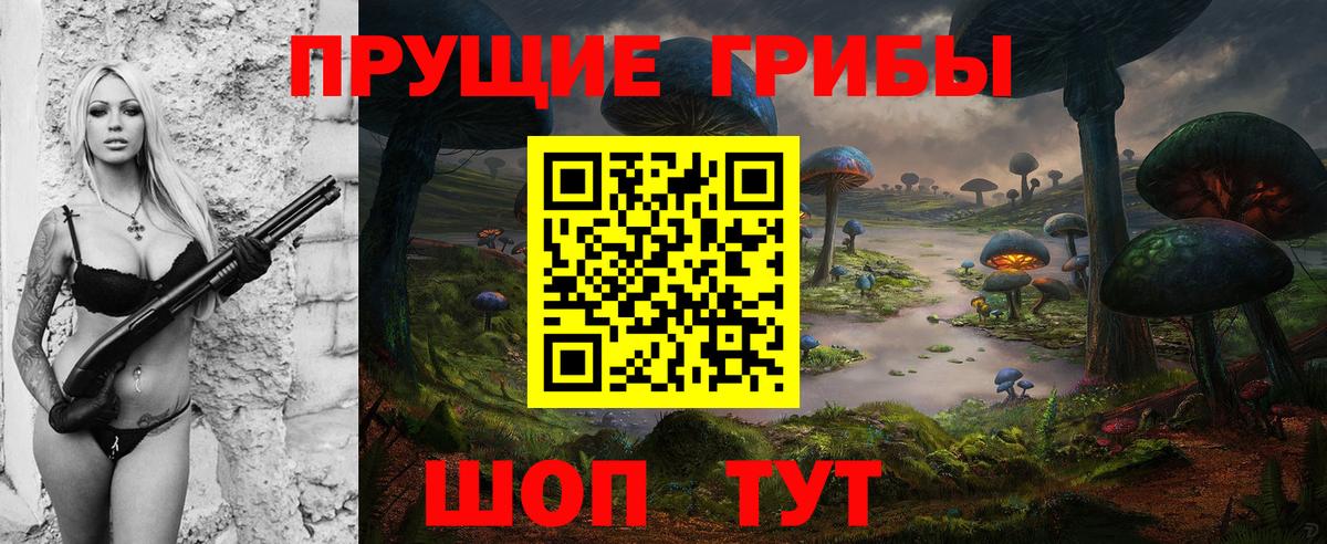 сколько стоит  Вход с VPN  Волгодонск  Псилоцибиновые грибы MAGIC MUSHROOMS 